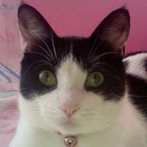 Meet your Posher, Cindy